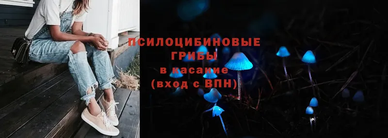 Галлюциногенные грибы Magic Shrooms  Верхний Тагил 